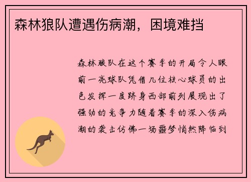 森林狼队遭遇伤病潮，困境难挡