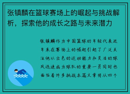 张镇麟在篮球赛场上的崛起与挑战解析，探索他的成长之路与未来潜力