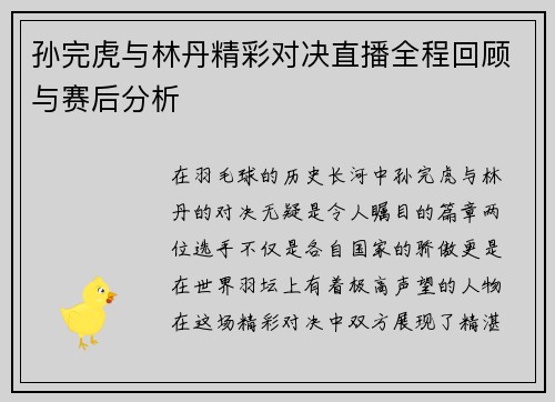 孙完虎与林丹精彩对决直播全程回顾与赛后分析