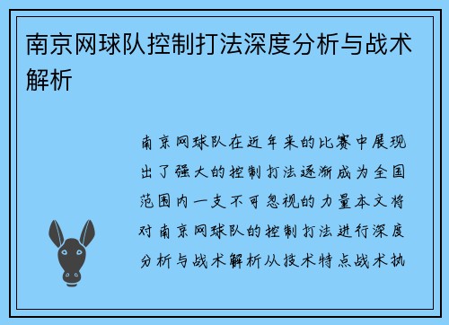 南京网球队控制打法深度分析与战术解析