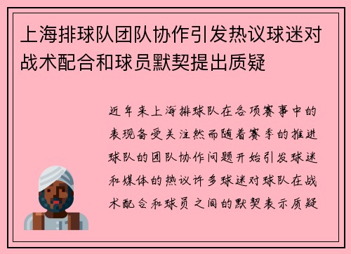 上海排球队团队协作引发热议球迷对战术配合和球员默契提出质疑