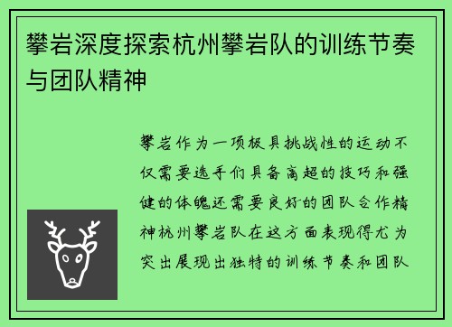 攀岩深度探索杭州攀岩队的训练节奏与团队精神